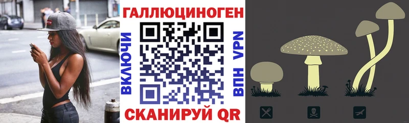 Купить  Краснослободск  Галлюциногенные грибы Magic Shrooms 
